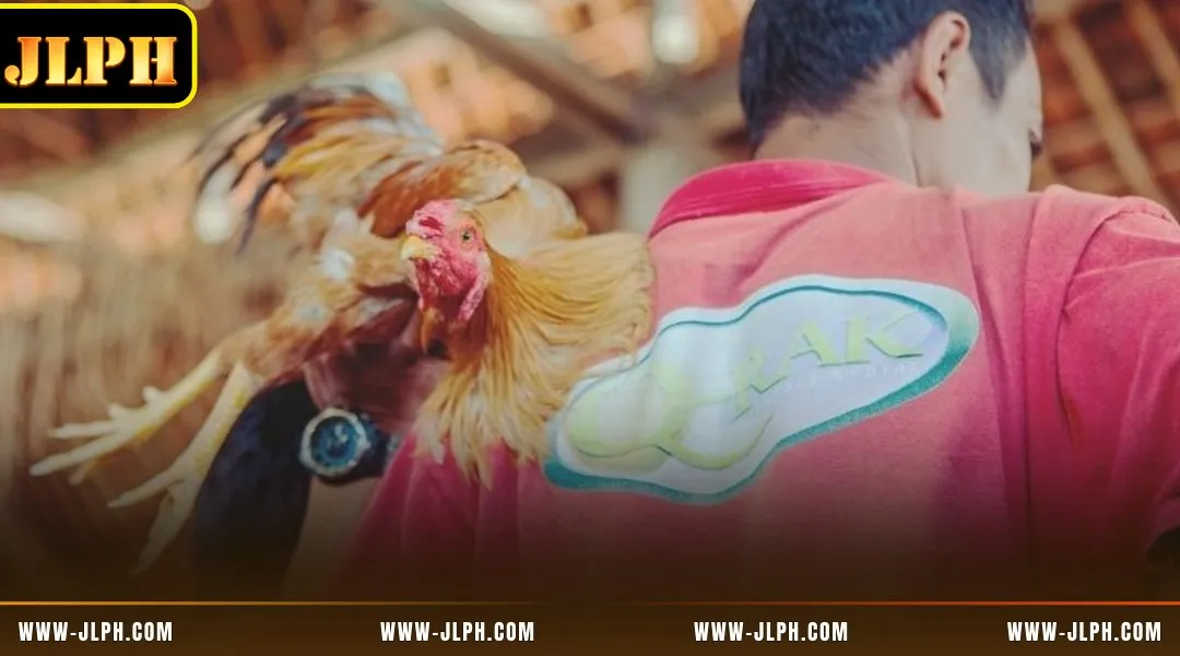 Discover the key reasons smart bettors always choose WS168