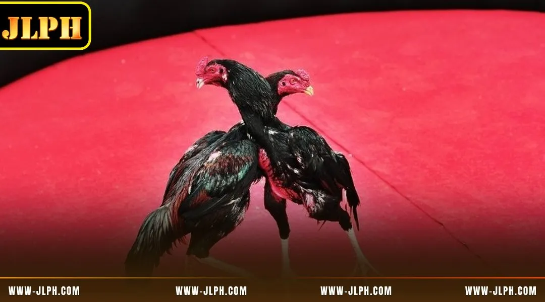 Dive into the complete game catalog waiting at WS168